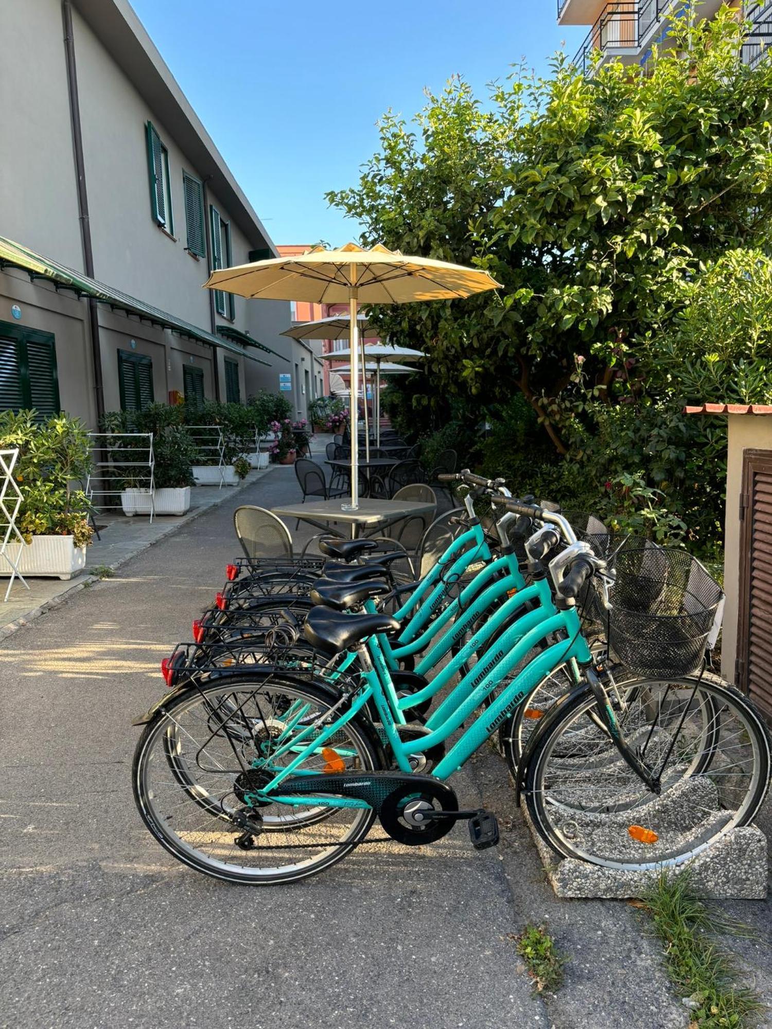 Hotel Delle Rose San Bartolomeo Al Mare Eksteriør bilde